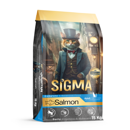 Cat Food with Salmon